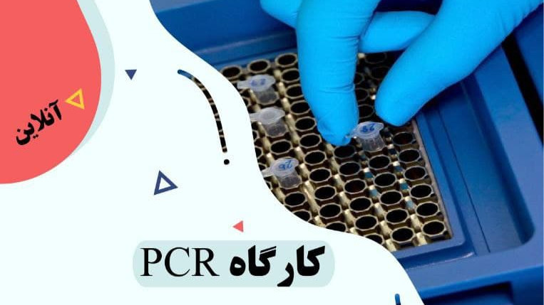 کارگاه آموزش PCR و ژل الکتروفورز