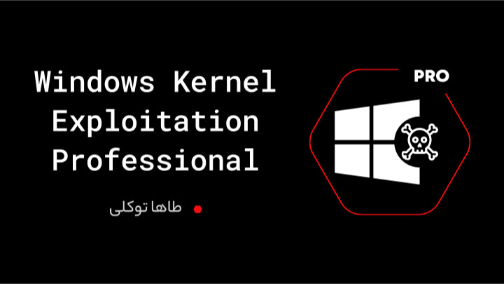 Windows Kernel Exploitation Professional