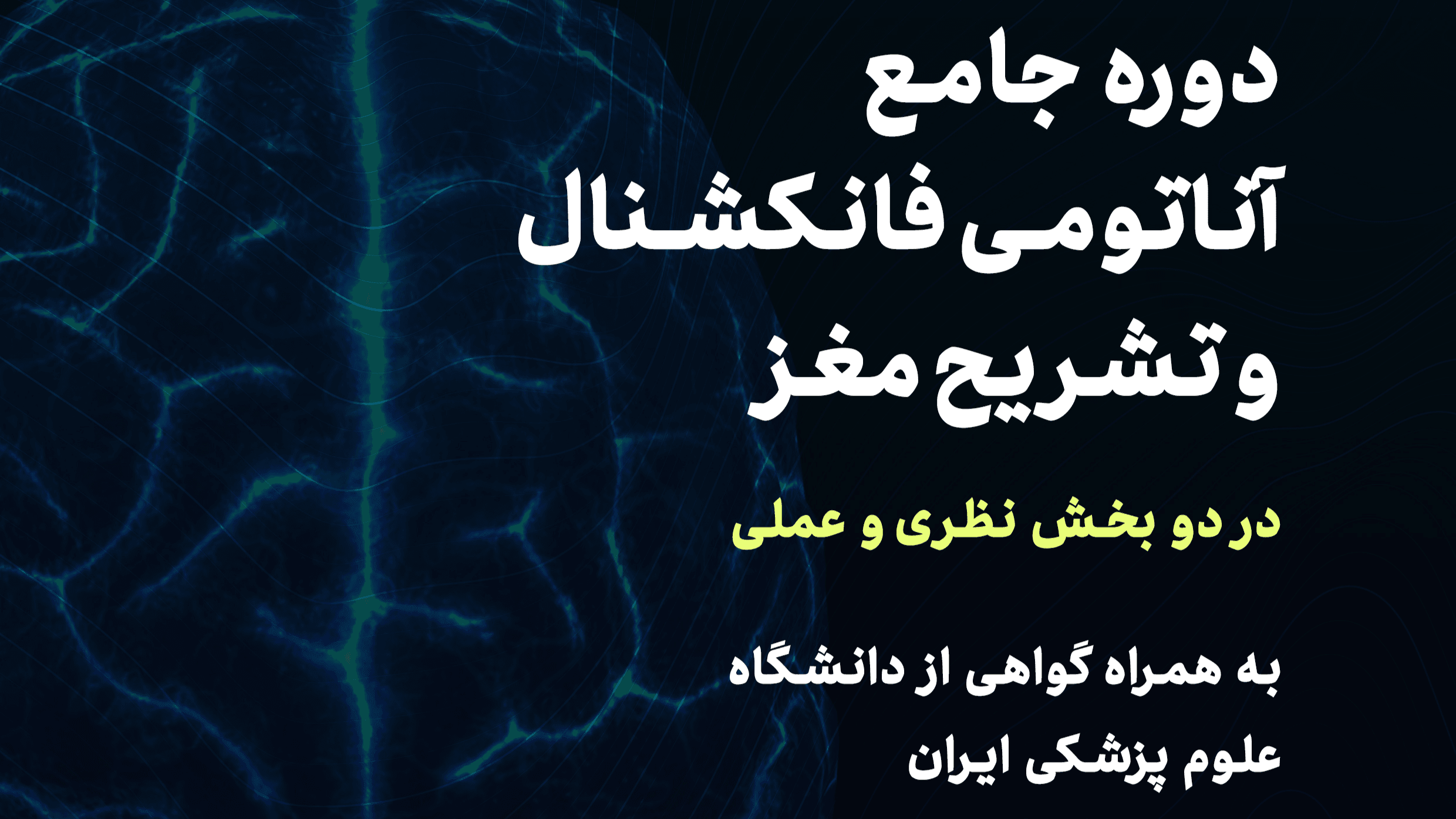 دوره‌ی جامع آناتومی فانکشنال و تشریح مغزی