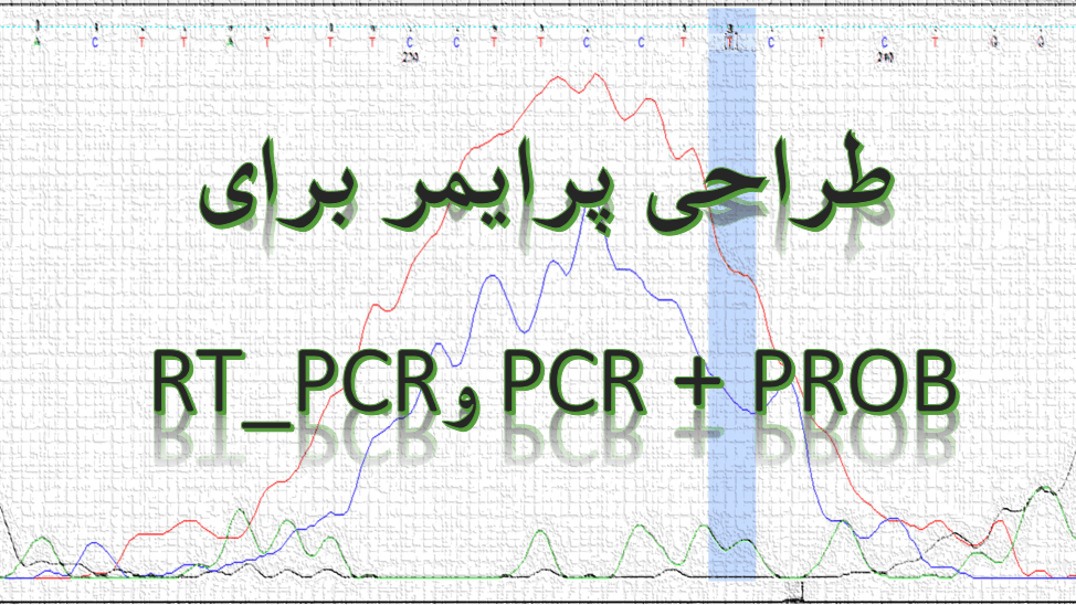 طراحی پرایمر برای PCR و RT_PCR