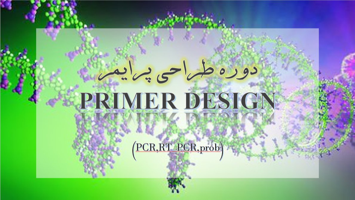  دوره ی طراحی پرایمر 