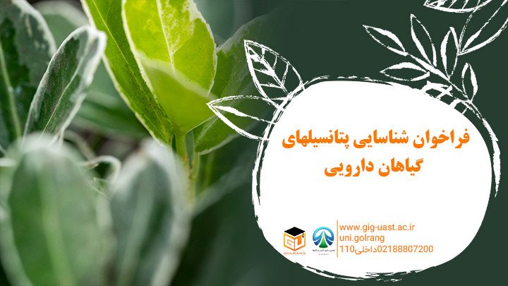 فراخوان شناسایی پتانسیل های گیاهان دارویی