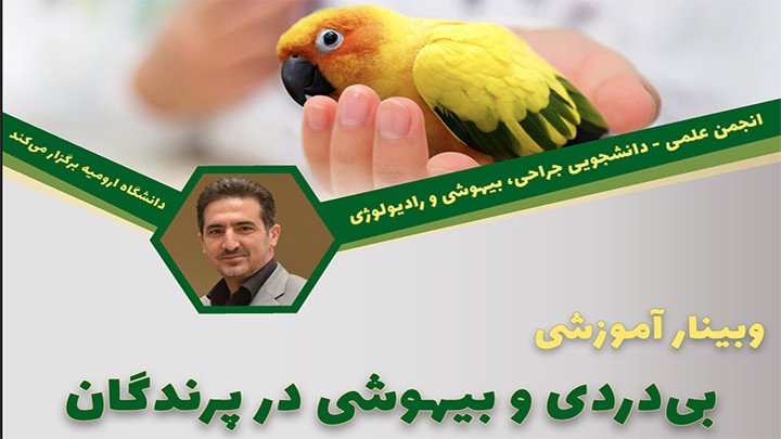 بی‌دردی و بیهوشی در پرندگان