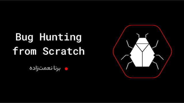 Bug Hunting from Scratch