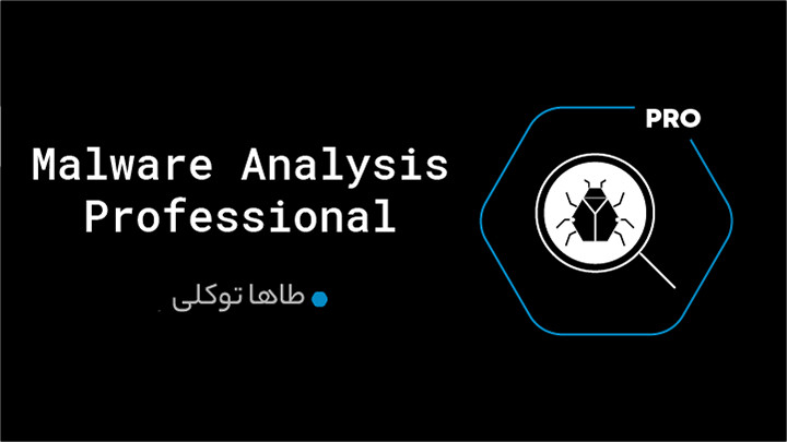 Malware Analysis Professional