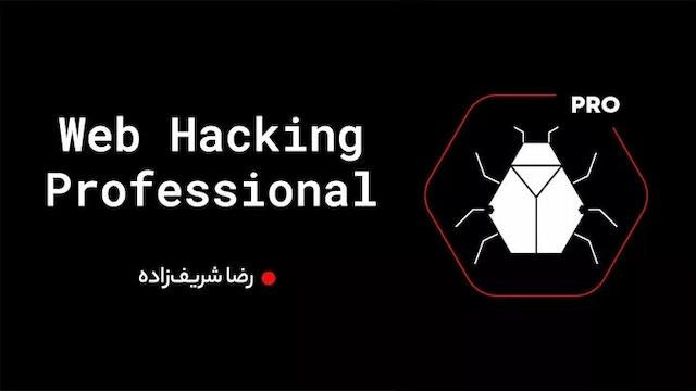 Web Hacking Professional