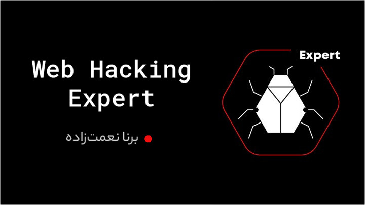 Web Hacking Expert