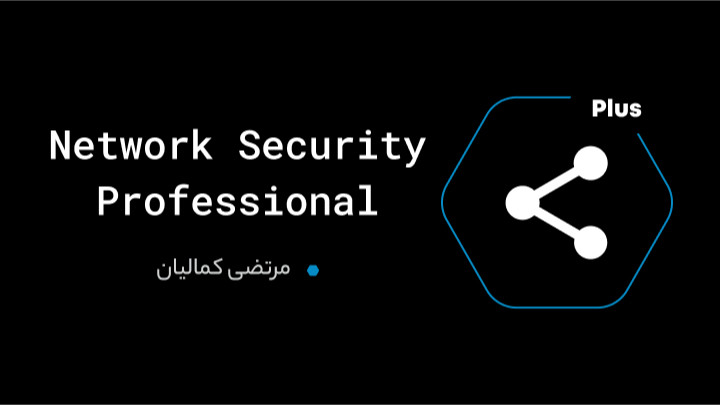 Network Security Professional